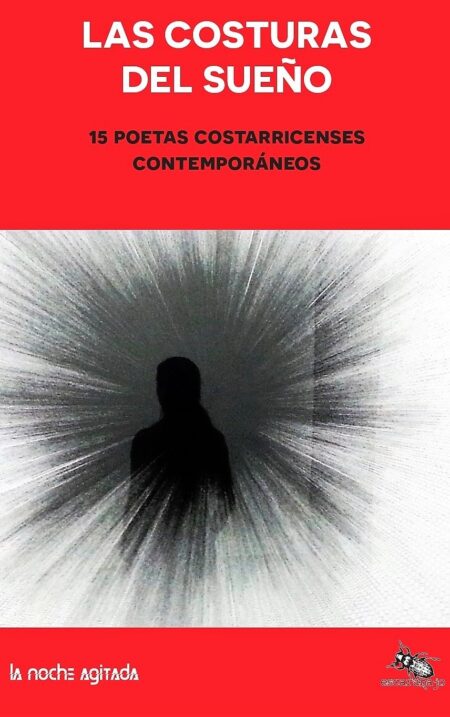 LAS COSTURAS DEL SUEÑO