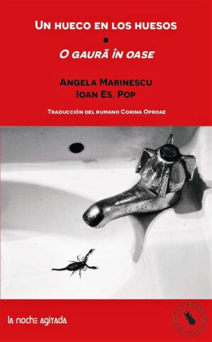 UN HUECO EN LOS HUESOS