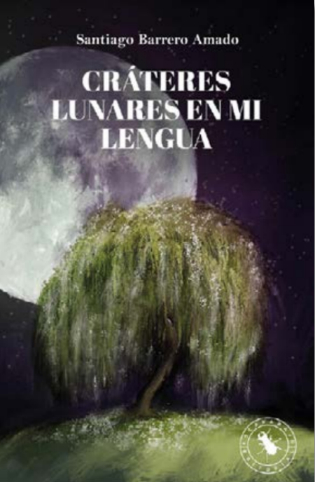 CRÁTERES LUNARES EN MI LENGUA
