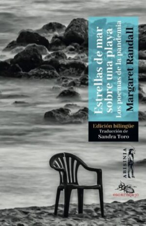 ESTRELLAS DE MAR SOBRE UNA PLAYA