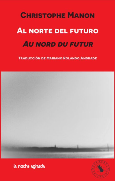 AL NORTE DEL FUTURO