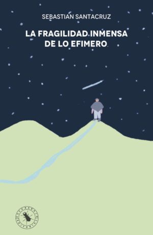 LA FRAGILIDAD INMENSA DE LO EFÍMERO