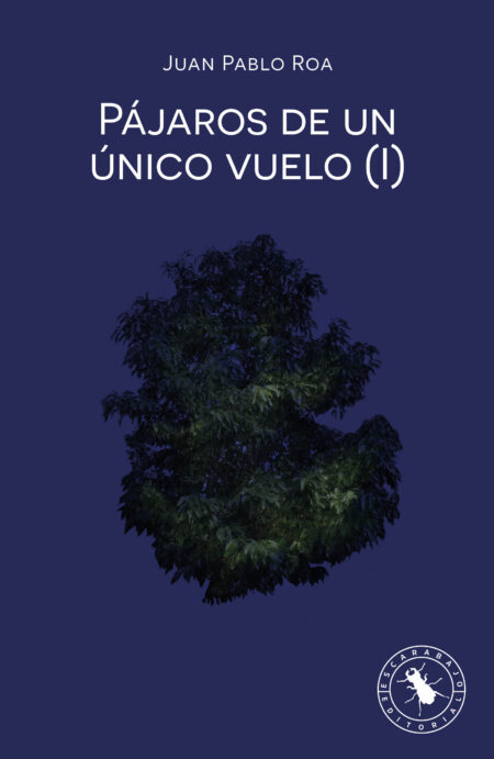 PÁJAROS DE UN ÚNICO VUELO